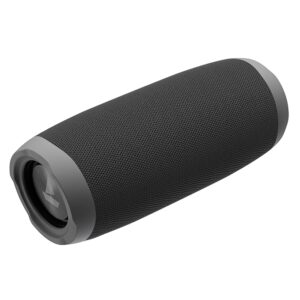 Stone 620 Bluetooth Speaker with 12W RMS Stereo Sound, 10HRS Playtime, TWS Feature, IPX4, Multi-Compatibility Modes(Grey)