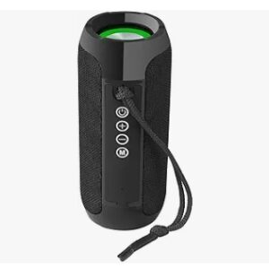 Zeb-Action Wireless 10W Portable Speaker, Supporting Bluetooth v5.1, TWS, RGB Lights, Fabric Finish, AUX/USB/FM/mSD (Black)